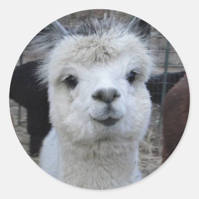 Pegatina Redonda Jules Verne (Anverso)