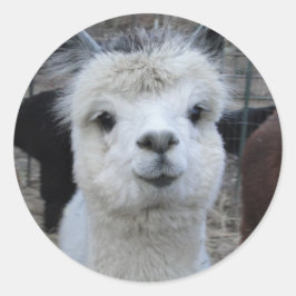 Pegatina Redonda Jules Verne