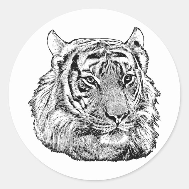 Pegatina Redonda Jungle Tiger Face animal safari naturaleza origina (Anverso)