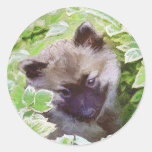 Pegatina Redonda Keeshond Puppy en el jardín pintando arte original