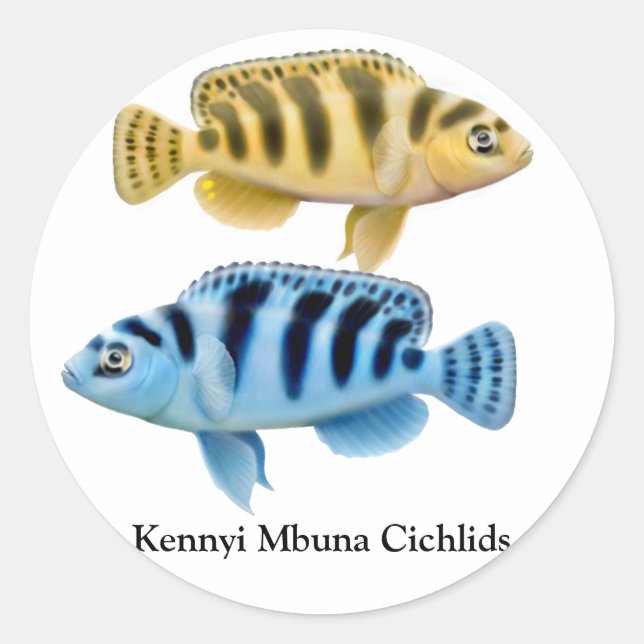 Pegatina Redonda Kennyi African Rift Lake Cichlids Sticker (Anverso)