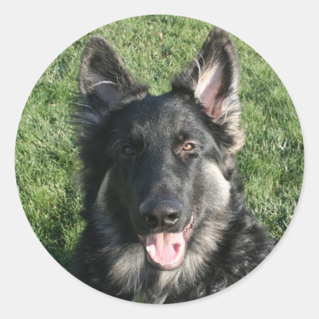 Pegatina Redonda Kepler (Anverso)