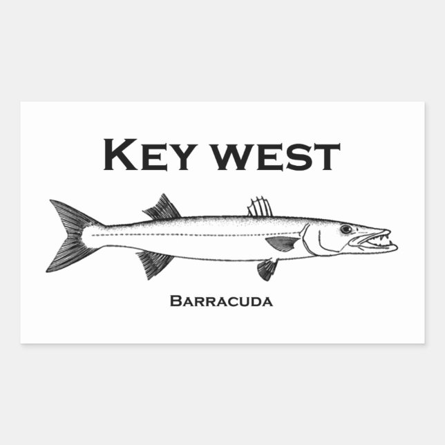 Pegatina Redonda Key West Barracuda (Anverso)