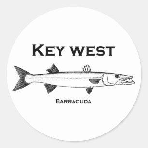 Pegatina Redonda Key West Barracuda