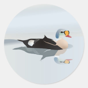 Pegatina Redonda King Eider Duck