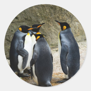 Pegatina Redonda King Penguin
