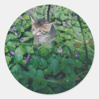 PEGATINA REDONDA KITTEN CON SONRISA VIOLETA