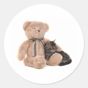 Pegatina Redonda kitten in the arms of a teddy bear