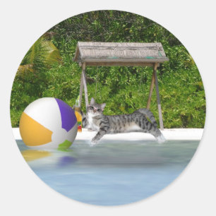 Pegatina Redonda Kitty Beach Ball