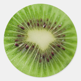 Pegatina Redonda Kiwi