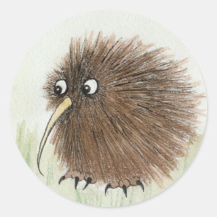 Pegatina Redonda Kiwi Bird