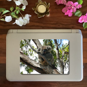 Pegatina Redonda Koala - Dormido