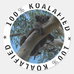 Pegatina Redonda Koalafied cute gracioso Koala en un árbol