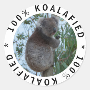 Pegatina Redonda Koalafied cute gracioso Koala en un árbol
