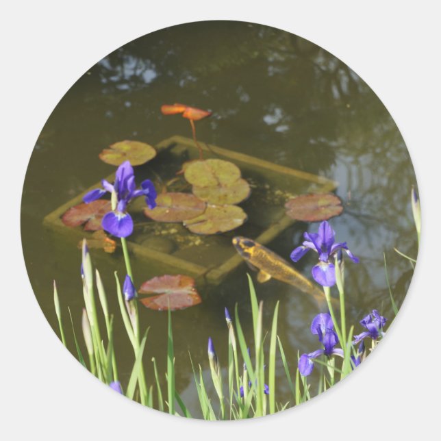 Pegatina Redonda Koi Fish #4 Pegatinas (Anverso)