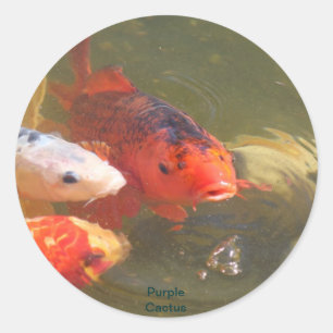 Pegatina Redonda Koi Fish v.1