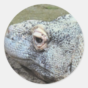 Pegatina Redonda Komodo Dragon