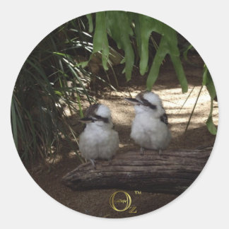 Pegatina Redonda Kookaburras Laughing