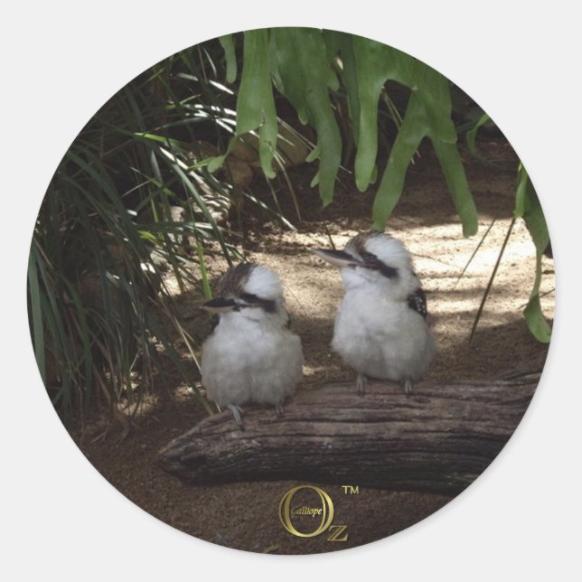 Pegatina Redonda Kookaburras Laughing (Anverso)