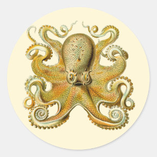 Pegatina Redonda Kraken vintage, Gamochonia octopus, Ernst Haeckel