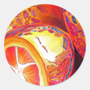 Pegatina Redonda Kumquats naranja cítrico acuarela arte