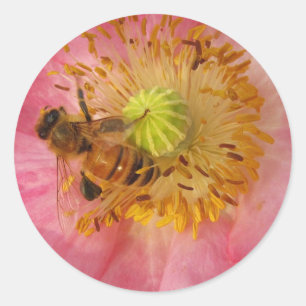 Pegatina Redonda La abeja de miel en la amapola