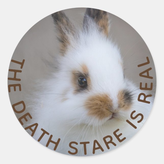Pegatina Redonda ¡La BUNNY Death Stare es real! Añadir una foto pro (Anverso)