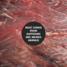 La carne viene del sufrimiento... el activismo veg