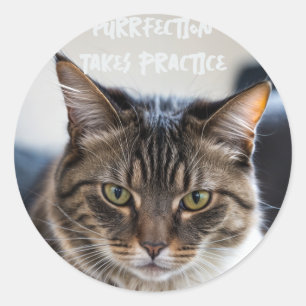 Pegatina Redonda La Depuración Toma La Práctica