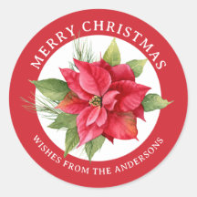 La encantadora Poinsettia Roja