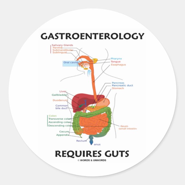 Pegatina Redonda La Gastroenterología Requiere Gotas (Sistema Diges (Anverso)
