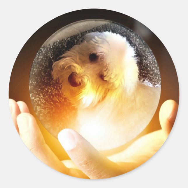 Pegatina Redonda La magia Coton de Tulear (Anverso)