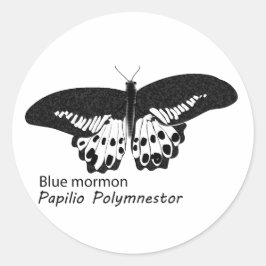 Pegatina Redonda La mariposa morena azul es una especie de mariposa