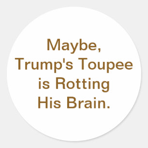 Pegatina Redonda La Peluca de Trump Está Podriendo su Cerebro Hanka