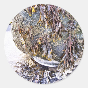 PEGATINA REDONDA LA PLAYA