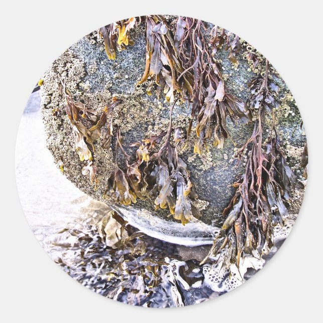 PEGATINA REDONDA LA PLAYA (Anverso)