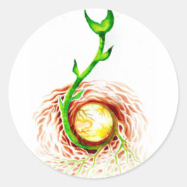 Pegatina Redonda La semilla del lienzo de poster de vida imprimió e