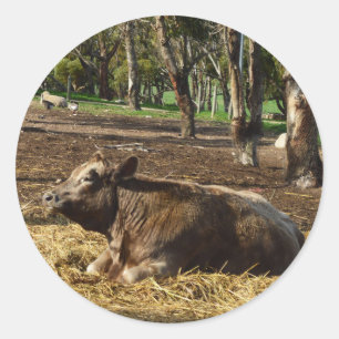 Pegatina Redonda La vaca marrón trae el heno,