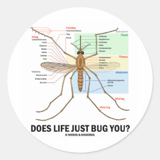 Pegatina Redonda ¿La Vida Simplemente Te Hace Perder? (Anatomía de 