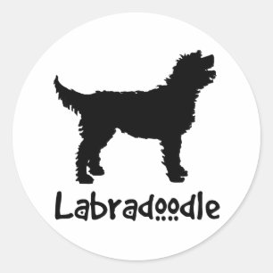 Pegatina Redonda Labradoodle con el texto fresco