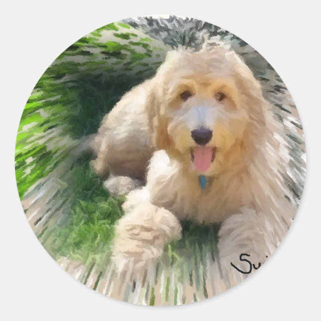 Pegatina Redonda Labradoodle Goldendoodle (Anverso)