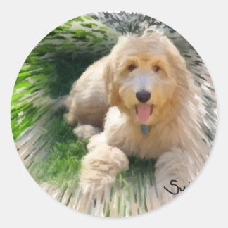 Pegatina Redonda Labradoodle Goldendoodle