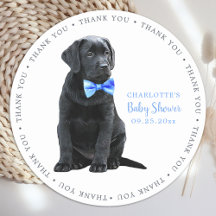 Labrador Cachorro Perro Azul Niño Baby Shower