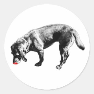 Pegatina Redonda Labrador recuperador esnifando arte de tinta de le