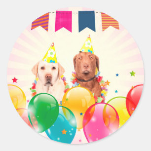 Pegatina Redonda Labrador recuperar globos de perro cumpleaños