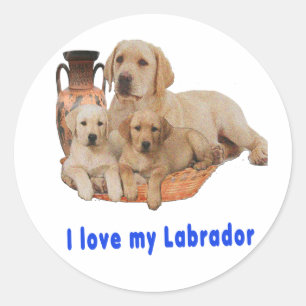 Pegatina Redonda Labrador Retriever