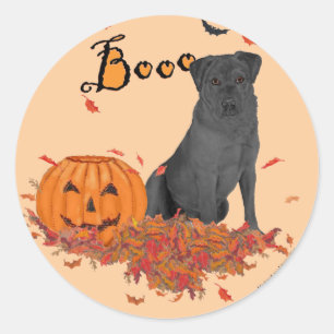 Pegatina Redonda ¡Labrador Retriever Negro Boo!