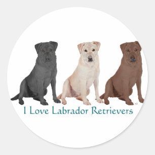 Pegatina Redonda Labradores Retriever - 3 Colores para Amar