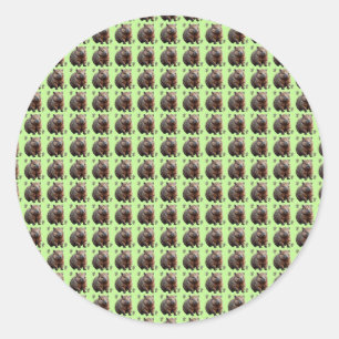 Pegatina Redonda Ladrillo: Un lienzo verde de Wombat,