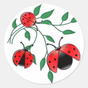 Pegatina Redonda Lady Bug, Lady Bugs